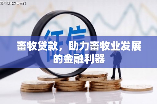 肥乡畜牧贷款，助力畜牧业发展的金融利器