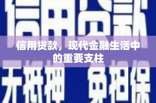 肥乡信用贷款，现代金融生活中的重要支柱