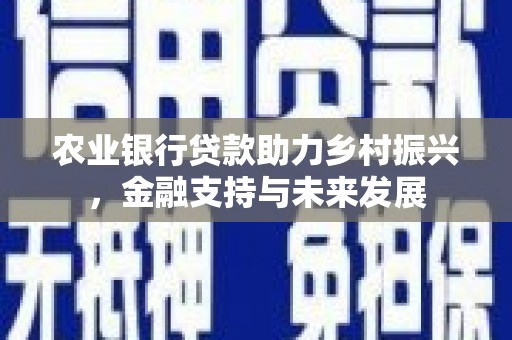 肥乡农业银行贷款助力乡村振兴，金融支持与未来发展