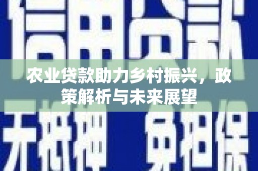 肥乡农业贷款助力乡村振兴，政策解析与未来展望