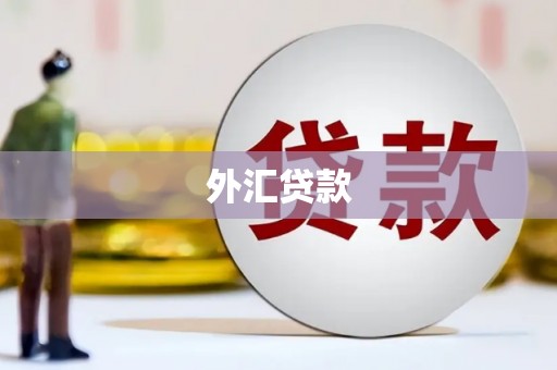 肥乡外汇贷款