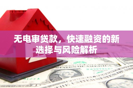 肥乡无电审贷款，快速融资的新选择与风险解析