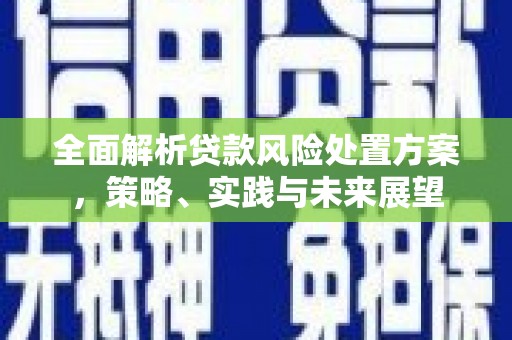 肥乡全面解析贷款风险处置方案，策略、实践与未来展望