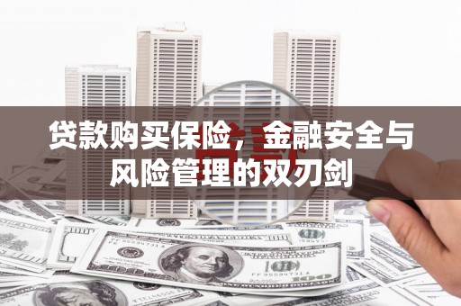 肥乡贷款购买保险，金融安全与风险管理的双刃剑