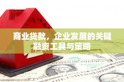 肥乡商业贷款，企业发展的关键融资工具与策略