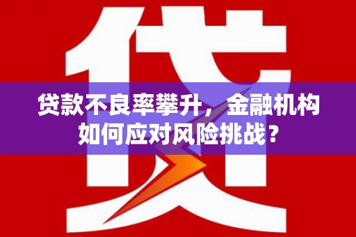 肥乡贷款不良率攀升，金融机构如何应对风险挑战？