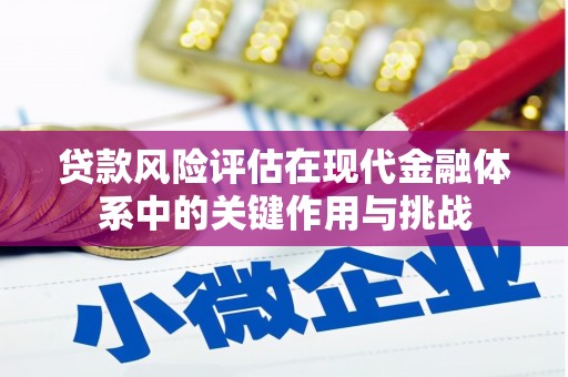 肥乡贷款风险评估在现代金融体系中的关键作用与挑战
