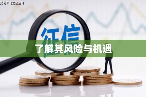 肥乡了解其风险与机遇