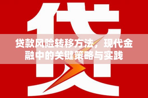 肥乡贷款风险转移方法，现代金融中的关键策略与实践