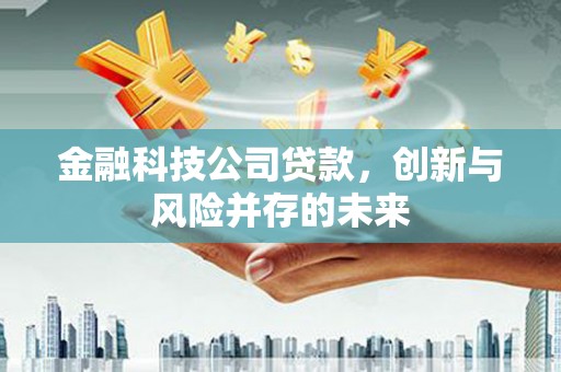 肥乡金融科技公司贷款，创新与风险并存的未来