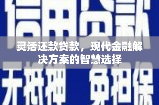 肥乡灵活还款贷款，现代金融解决方案的智慧选择