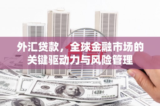 肥乡外汇贷款，全球金融市场的关键驱动力与风险管理