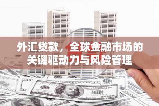 肥乡外汇贷款，全球金融市场的关键驱动力与风险管理
