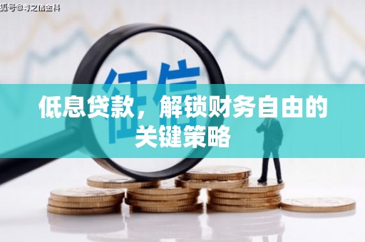 肥乡低息贷款，解锁财务自由的关键策略