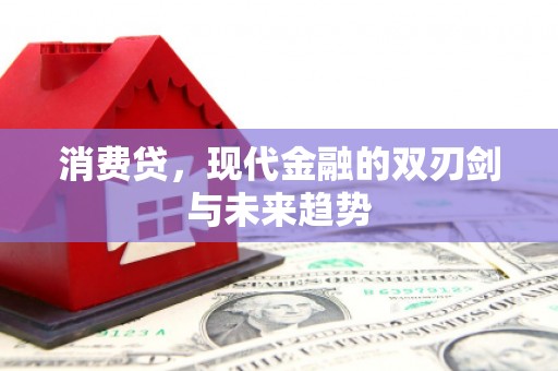 肥乡消费贷，现代金融的双刃剑与未来趋势