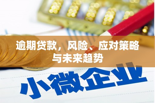 肥乡逾期贷款，风险、应对策略与未来趋势