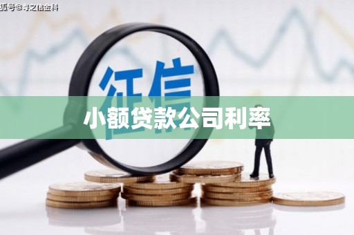 肥乡小额贷款公司利率