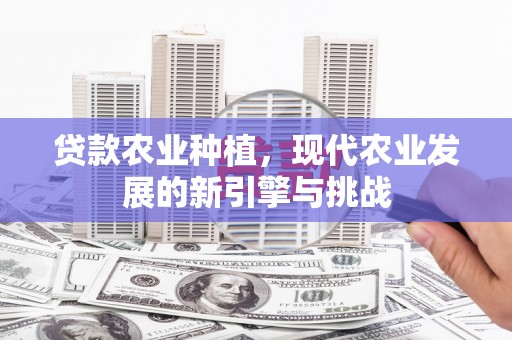 肥乡贷款农业种植，现代农业发展的新引擎与挑战