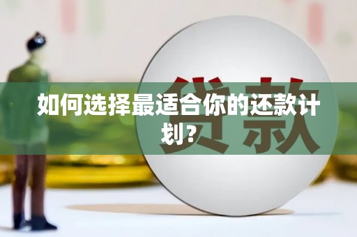 肥乡如何选择最适合你的还款计划？