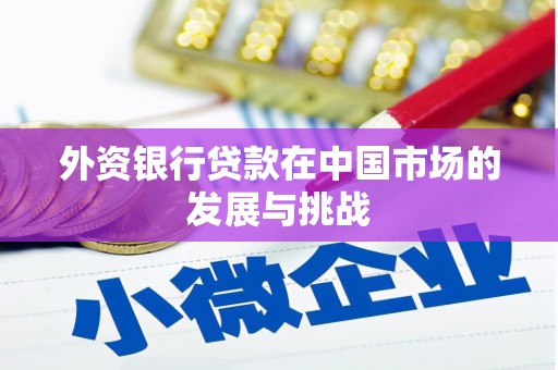 肥乡外资银行贷款在中国市场的发展与挑战