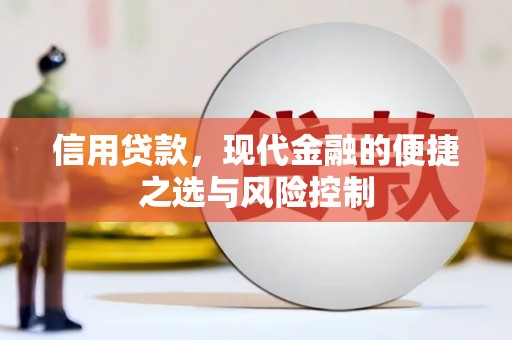 肥乡信用贷款，现代金融的便捷之选与风险控制