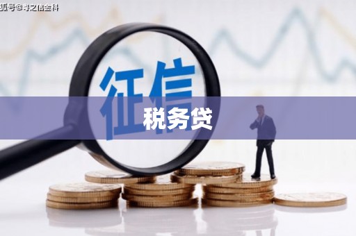 肥乡税务贷