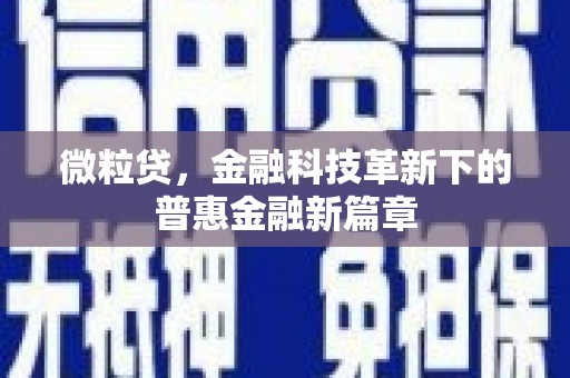 肥乡微粒贷，金融科技革新下的普惠金融新篇章