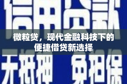 肥乡微粒贷，现代金融科技下的便捷借贷新选择