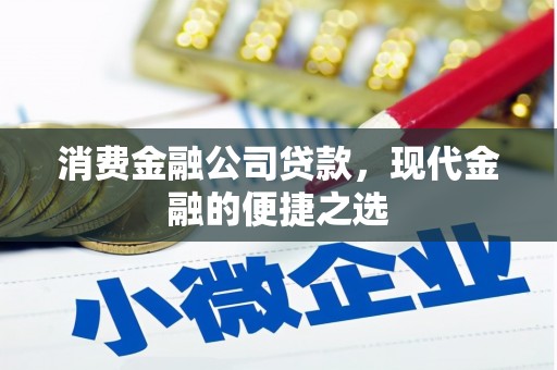 肥乡消费金融公司贷款，现代金融的便捷之选