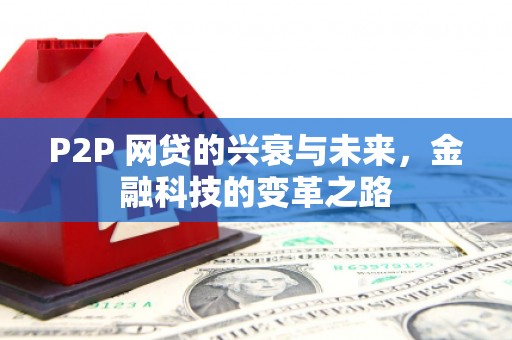 肥乡P2P 网贷的兴衰与未来，金融科技的变革之路