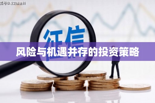肥乡风险与机遇并存的投资策略