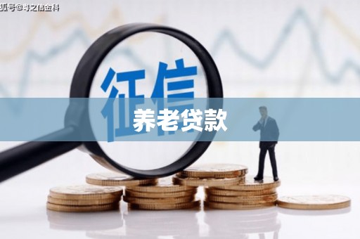 肥乡养老贷款