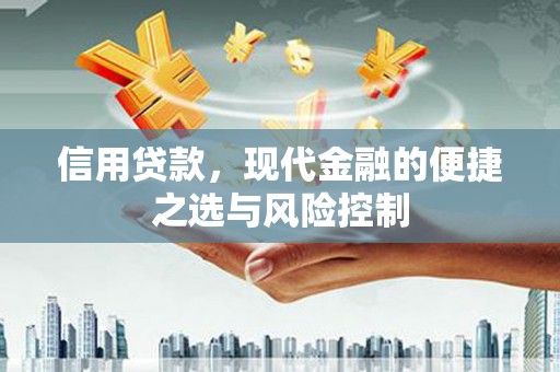 肥乡信用贷款，现代金融的便捷之选与风险控制