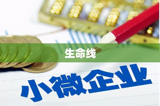 肥乡生命线