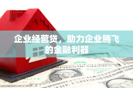 肥乡企业经营贷，助力企业腾飞的金融利器