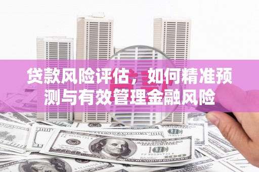 肥乡贷款风险评估，如何精准预测与有效管理金融风险