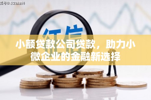 肥乡小额贷款公司贷款，助力小微企业的金融新选择