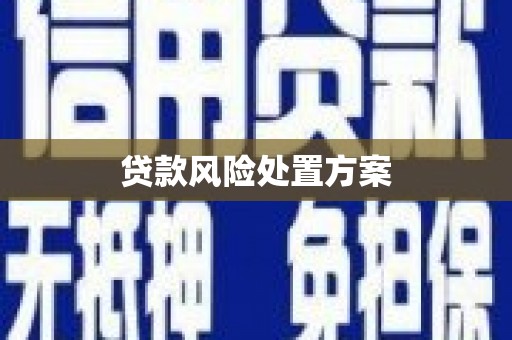 肥乡贷款风险处置方案