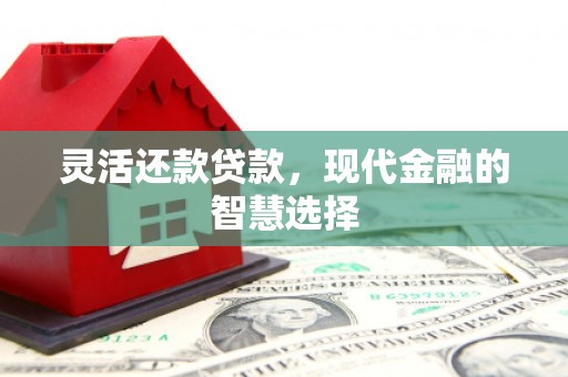 肥乡灵活还款贷款，现代金融的智慧选择