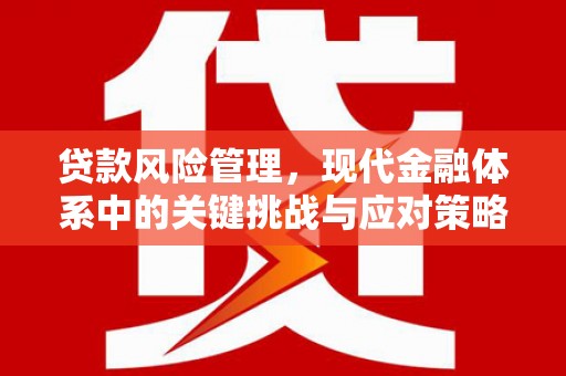 肥乡贷款风险管理，现代金融体系中的关键挑战与应对策略
