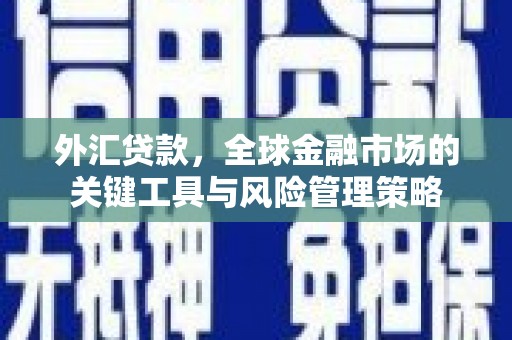 肥乡外汇贷款，全球金融市场的关键工具与风险管理策略