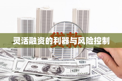 肥乡灵活融资的利器与风险控制