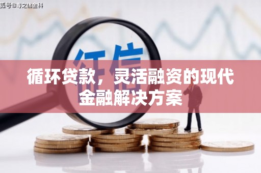 肥乡循环贷款，灵活融资的现代金融解决方案