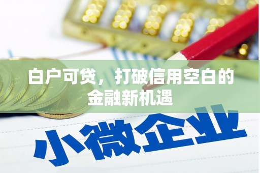 肥乡白户可贷，打破信用空白的金融新机遇