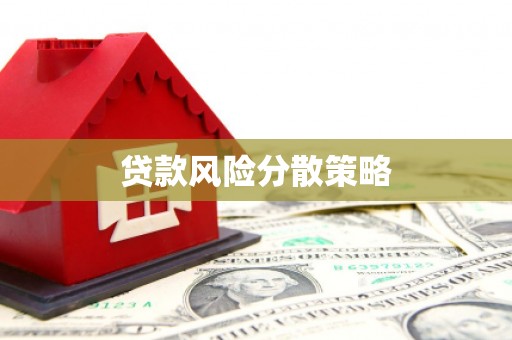 肥乡贷款风险分散策略