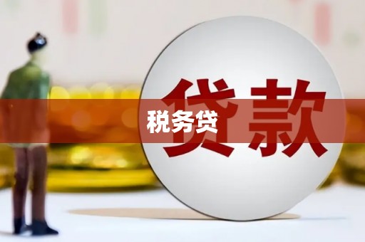 肥乡税务贷