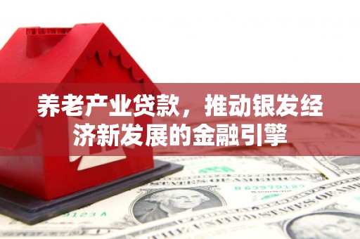 肥乡养老产业贷款，推动银发经济新发展的金融引擎