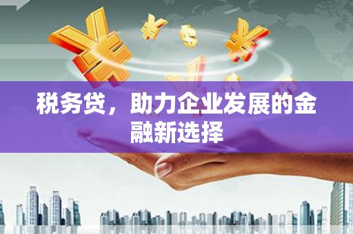 肥乡税务贷，助力企业发展的金融新选择