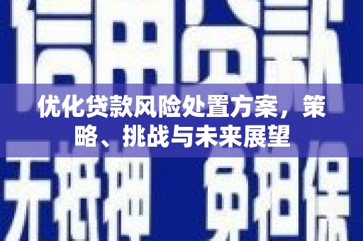 肥乡优化贷款风险处置方案，策略、挑战与未来展望