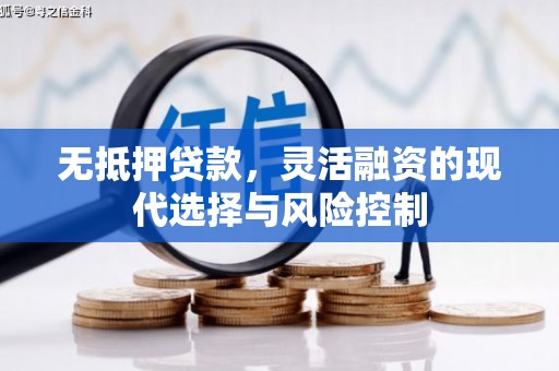 肥乡无抵押贷款，灵活融资的现代选择与风险控制
